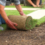 Mastering the Art of Lawn and Landscaping